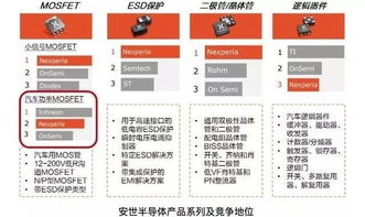 董明珠与雷军 不同赛道上的战略选择与商业启示